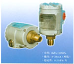 阿城鋼鐵公司用ZY-PMC133型壓力變送器
