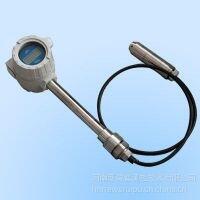 油站儲罐液位測量HL8001120射頻導納物位計